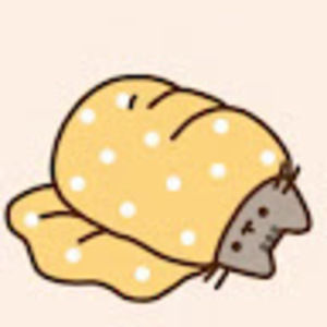 Meet your Posher, Kristin